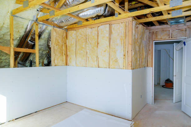 Best Eco-Friendly Insulation in Lake Andes, SD
