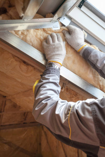 Best Specialized Insulation Services in Lake Andes, SD