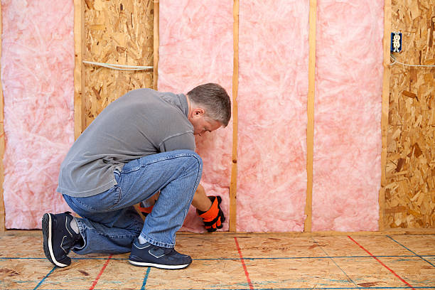 Professional Insulation Contractor in Lake Andes, SD